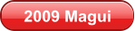 2009 Magui