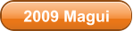 2009 Magui