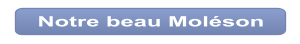 Notre beau Moléson
