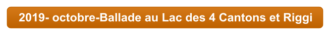 2019- octobre-Ballade au Lac des 4 Cantons et Riggi